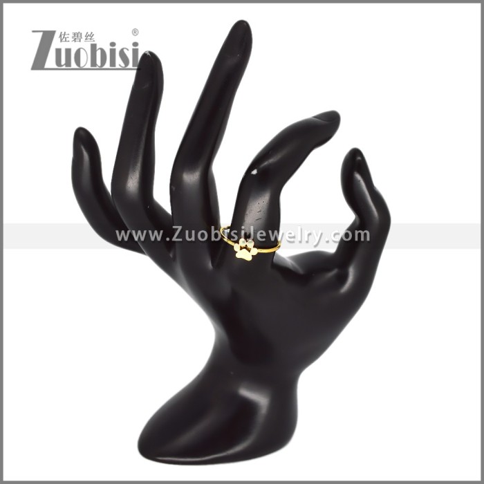 Stainless Steel Ring r010234G