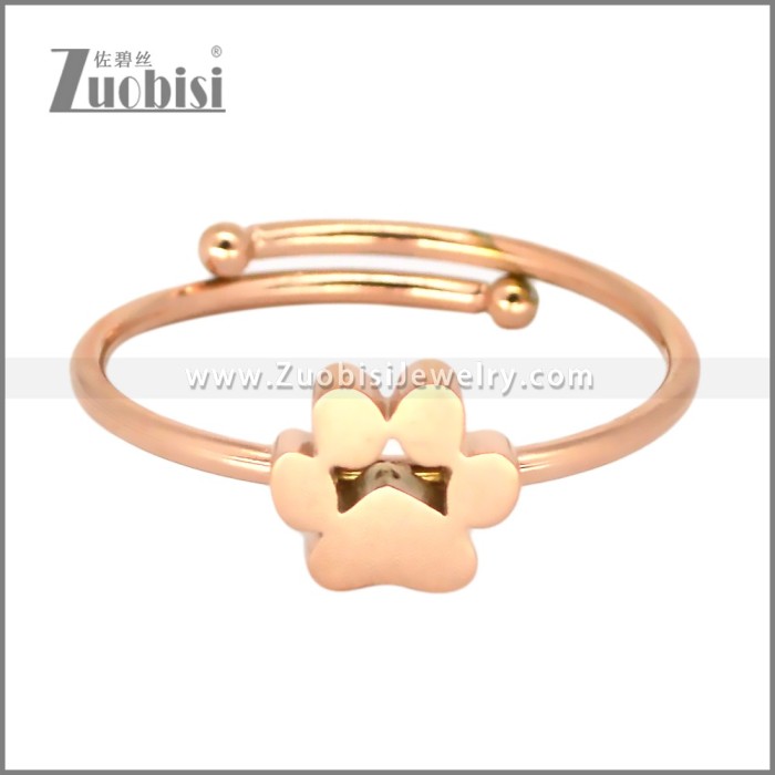 Stainless Steel Ring r010234R