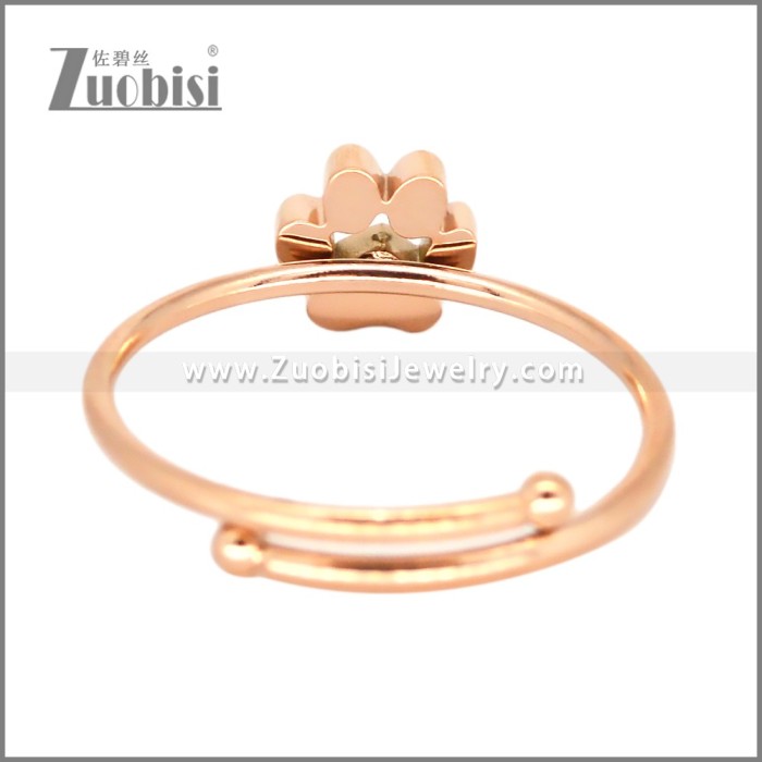 Stainless Steel Ring r010234R