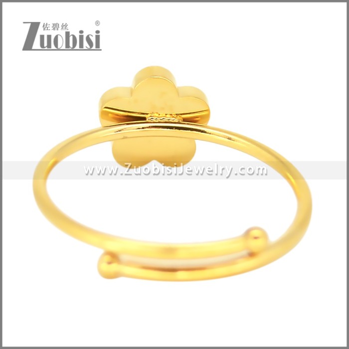 Stainless Steel Ring r010237R