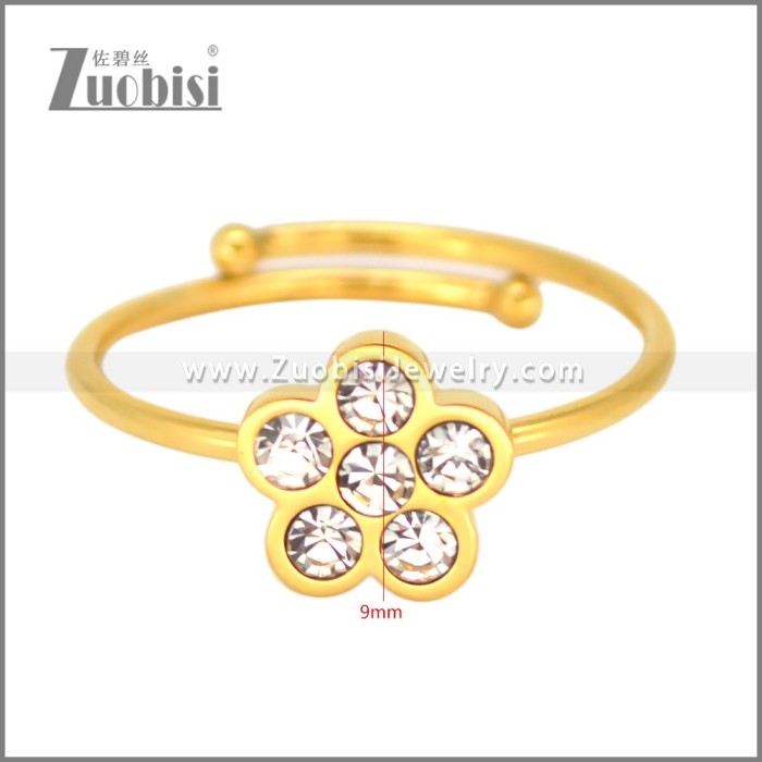 Stainless Steel Ring r010237R