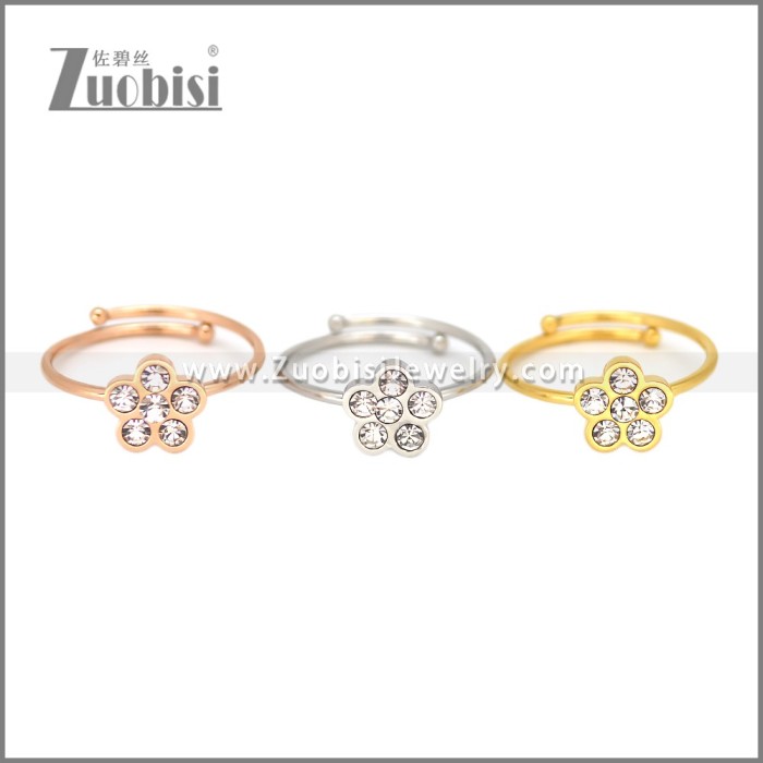 Stainless Steel Ring r010237R