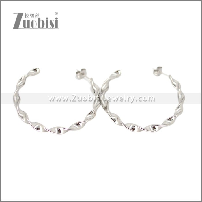 Stainless Steel Earring e002695S