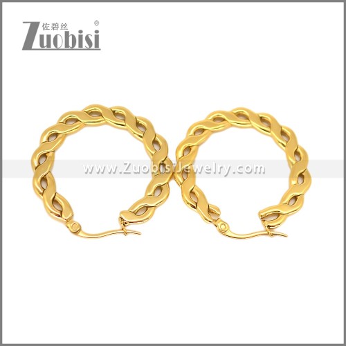 Stainless Steel Earring e002696G