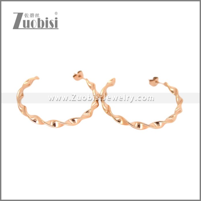 Stainless Steel Earring e002695R