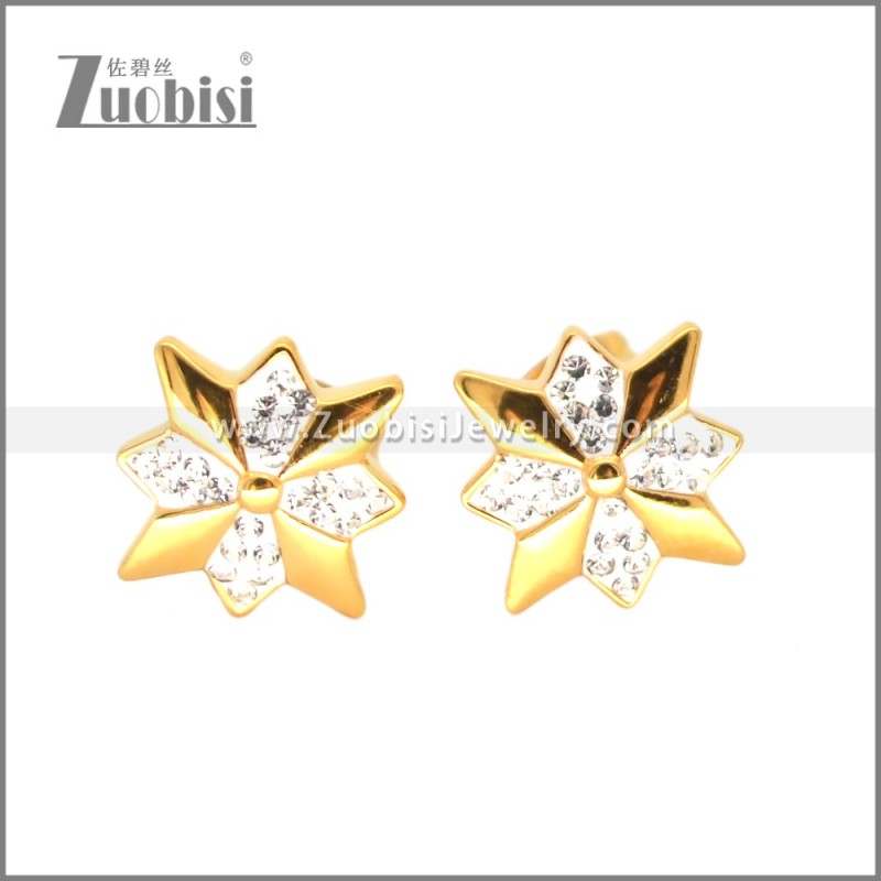 Stainless Steel Earring e002698G