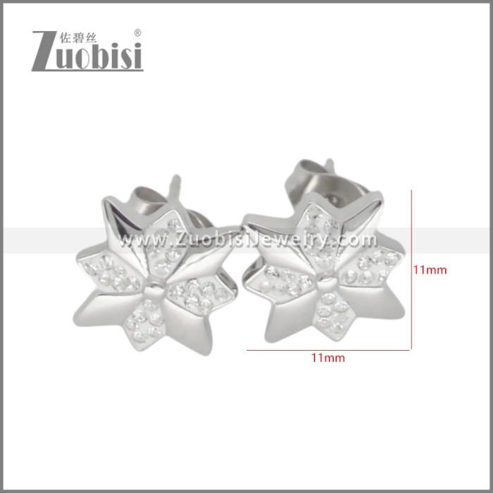 Stainless Steel Earring e002698S