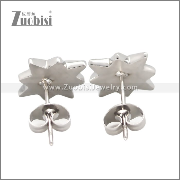 Stainless Steel Earring e002698S