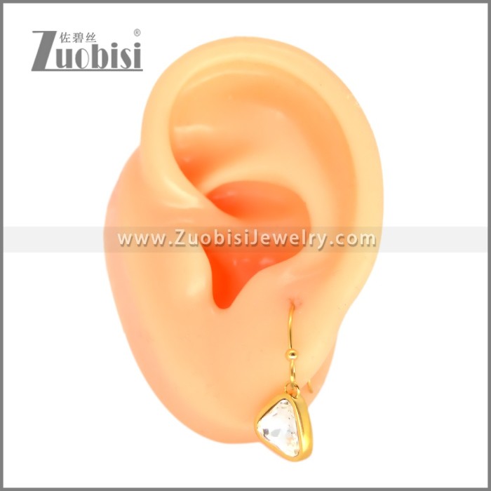 Stainless Steel Earring e002703G1