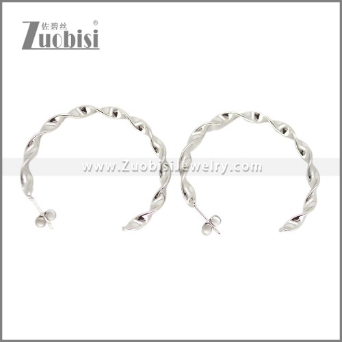 Stainless Steel Earring e002695S