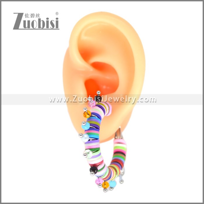 Stainless Steel Earring e002700C1