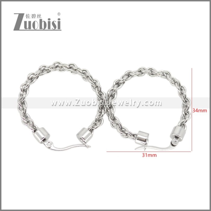 Stainless Steel Earring e002693