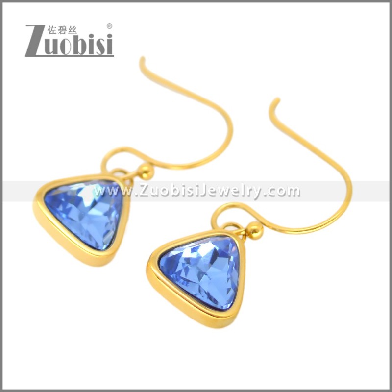 Stainless Steel Earring e002703G4