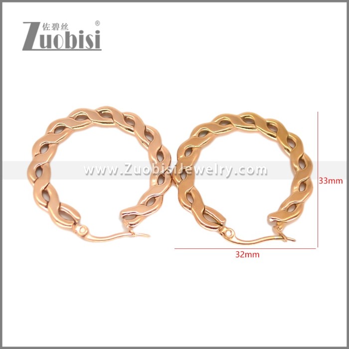 Stainless Steel Earring e002696R