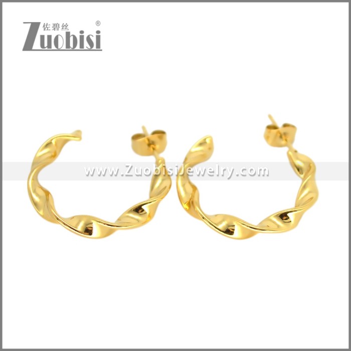 Stainless Steel Earring e002694G