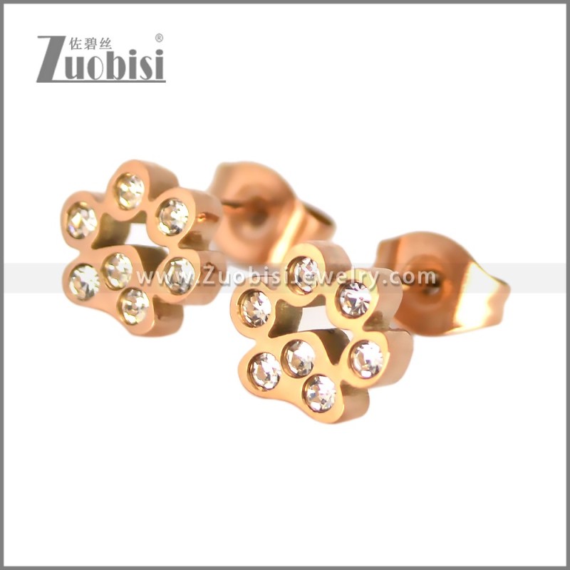 Stainless Steel Earring e002701R