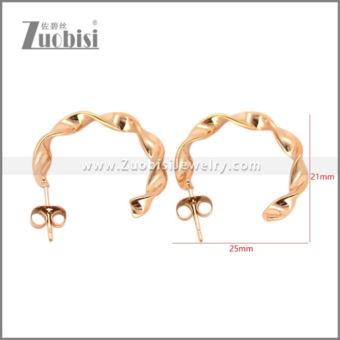 Stainless Steel Earring e002694R