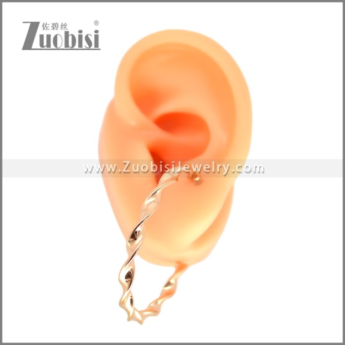 Stainless Steel Earring e002695R