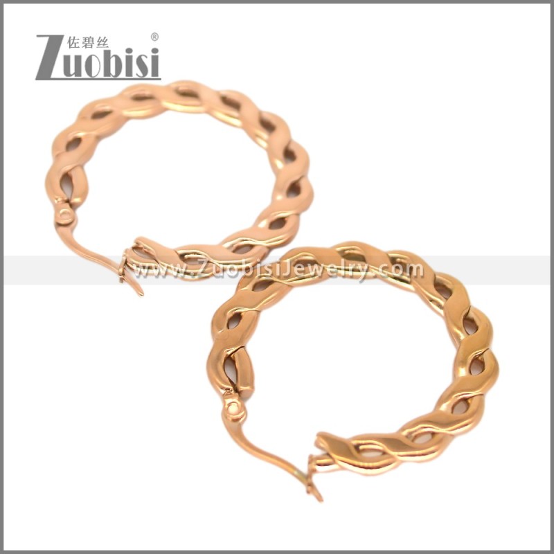 Stainless Steel Earring e002696R