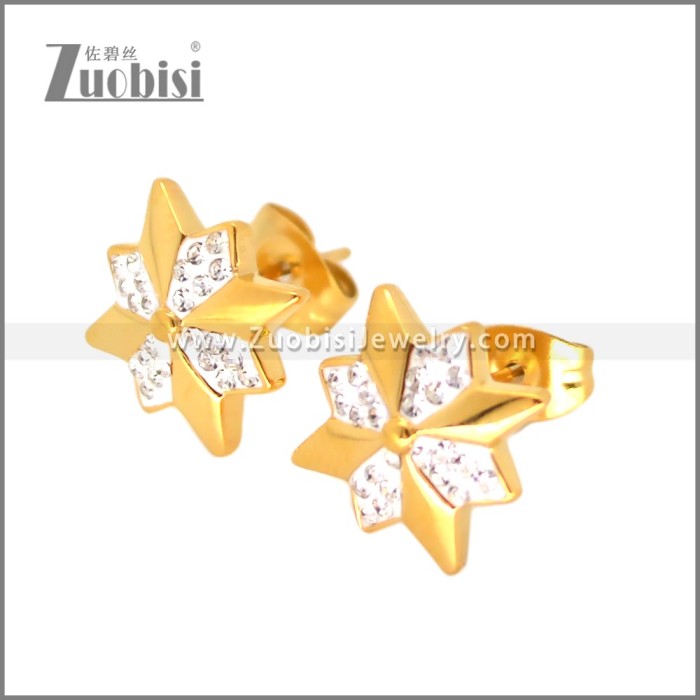 Stainless Steel Earring e002698G