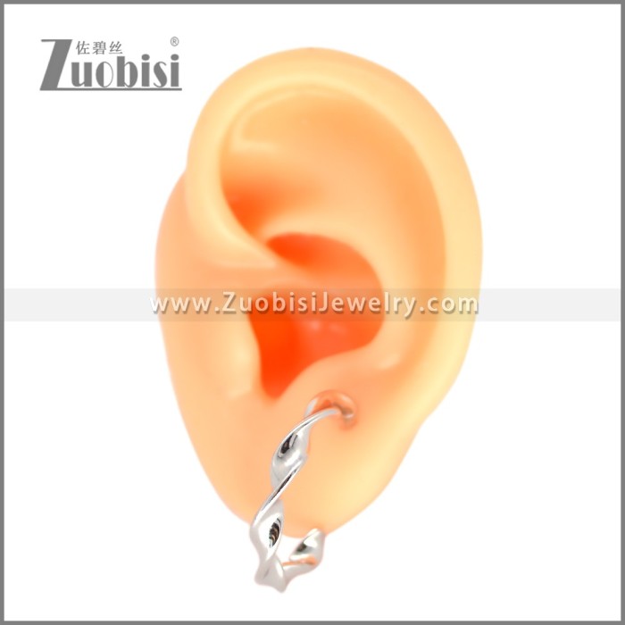 Stainless Steel Earring e002694S