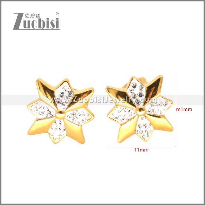 Stainless Steel Earring e002698G