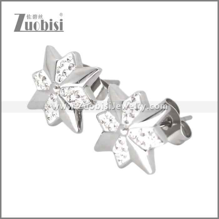 Stainless Steel Earring e002698S