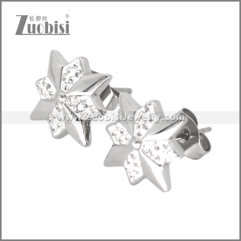 Stainless Steel Earring e002698S