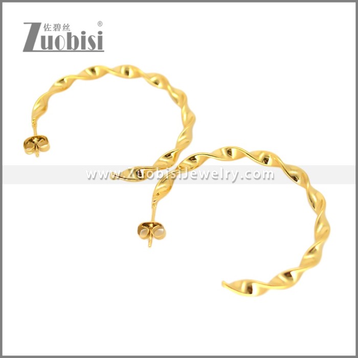 Stainless Steel Earring e002695G