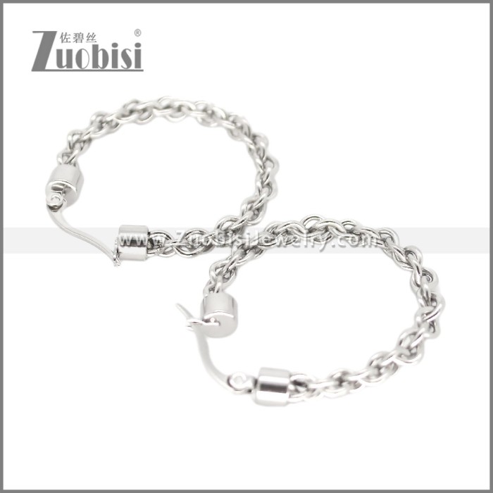 Stainless Steel Earring e002693