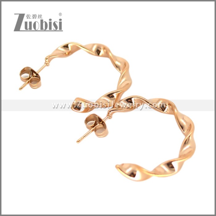 Stainless Steel Earring e002694R