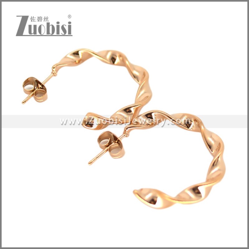 Stainless Steel Earring e002694R
