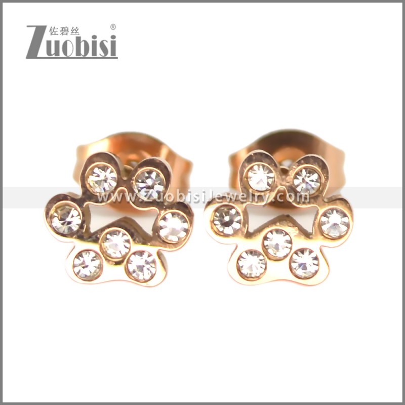 Stainless Steel Earring e002701R