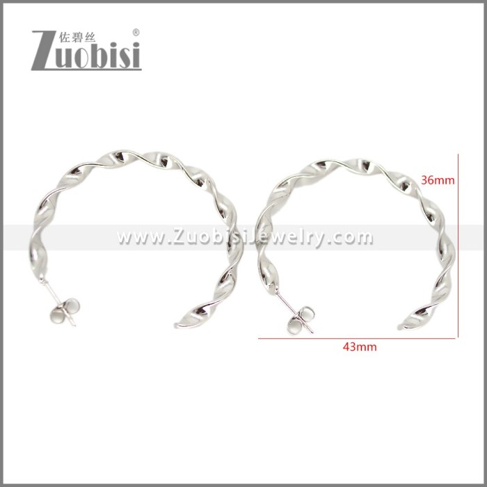 Stainless Steel Earring e002695S