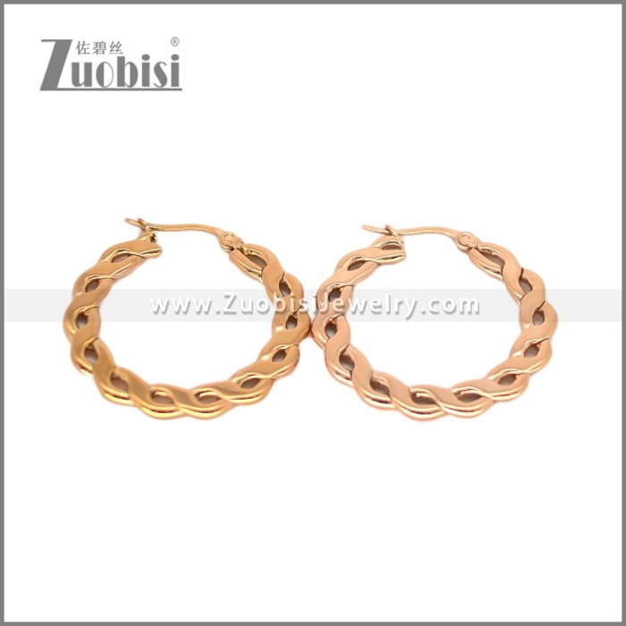 Stainless Steel Earring e002696R