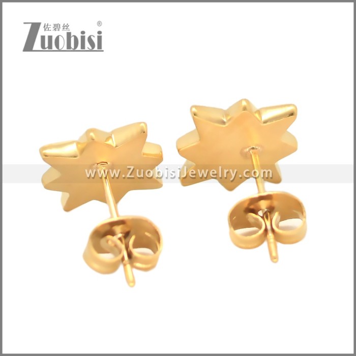 Stainless Steel Earring e002698G