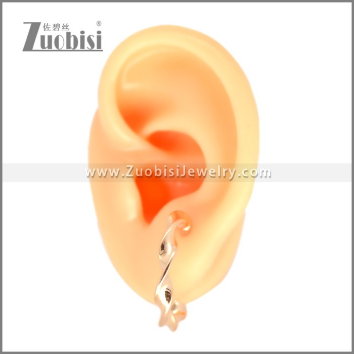 Stainless Steel Earring e002694R