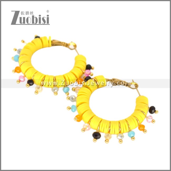 Stainless Steel Earring e002699G2