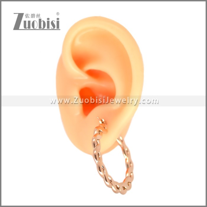 Stainless Steel Earring e002696R