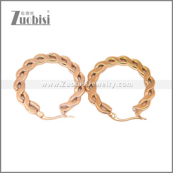 Stainless Steel Earring e002696R