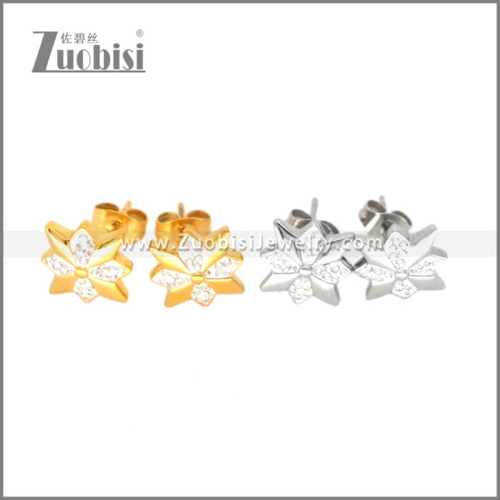 Stainless Steel Earring e002698S