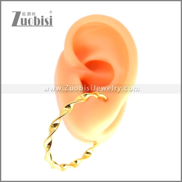 Stainless Steel Earring e002695G