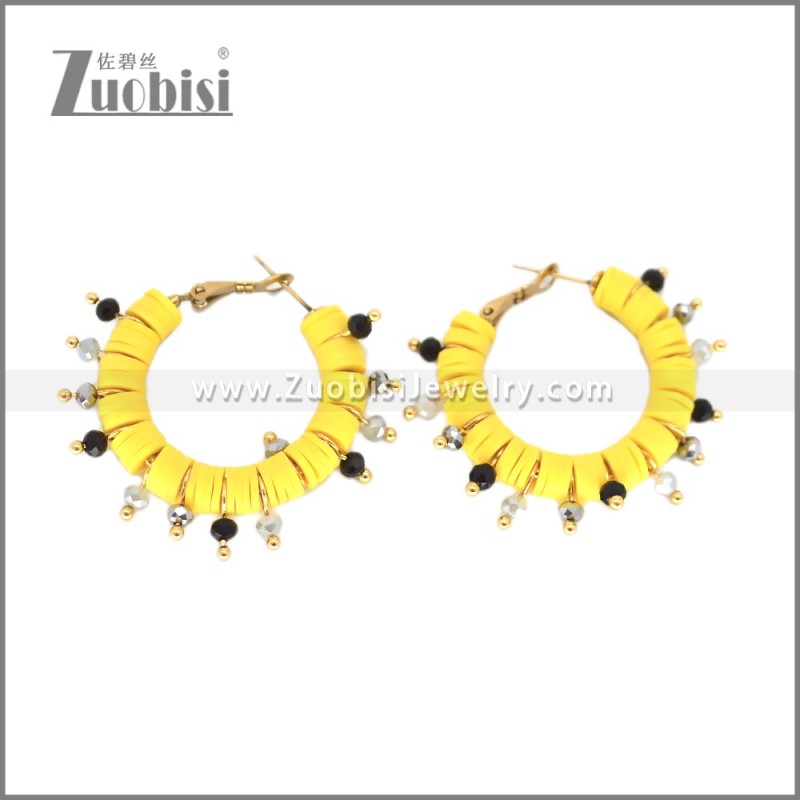 Stainless Steel Earring e002699G1