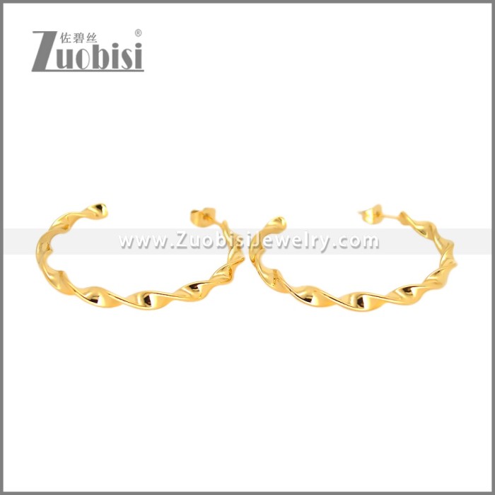 Stainless Steel Earring e002695G