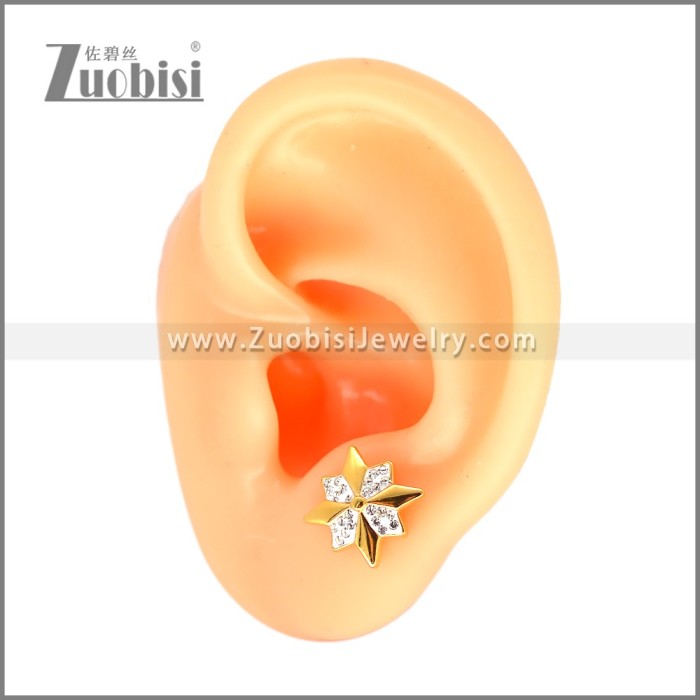Stainless Steel Earring e002698G