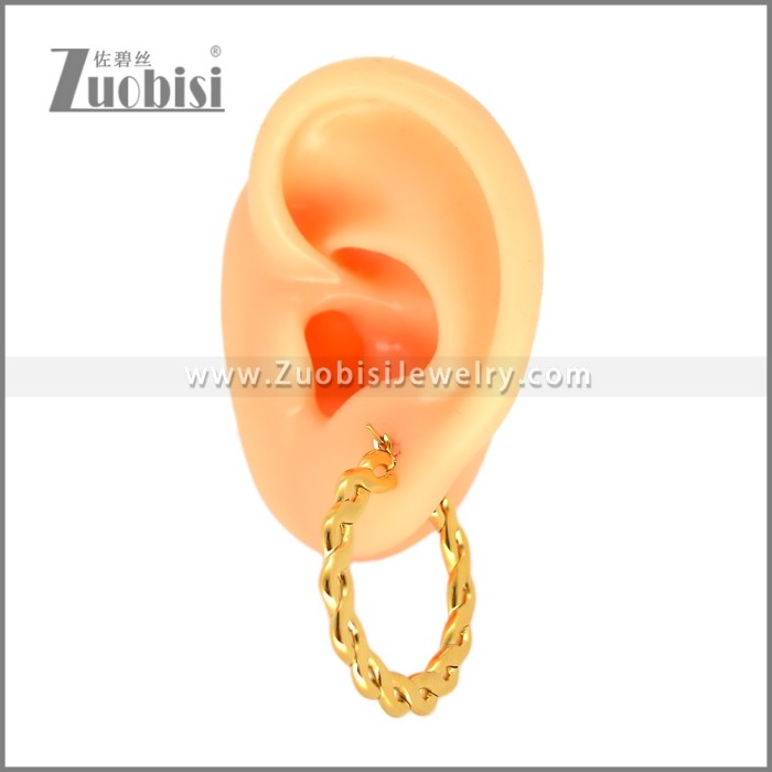 Stainless Steel Earring e002696G