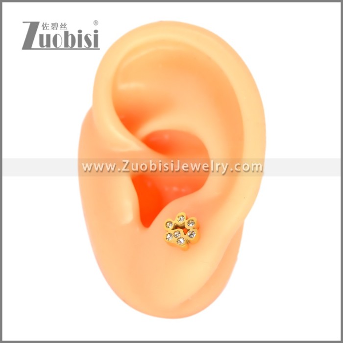 Stainless Steel Earring e002701G