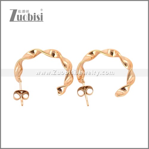 Stainless Steel Earring e002694R