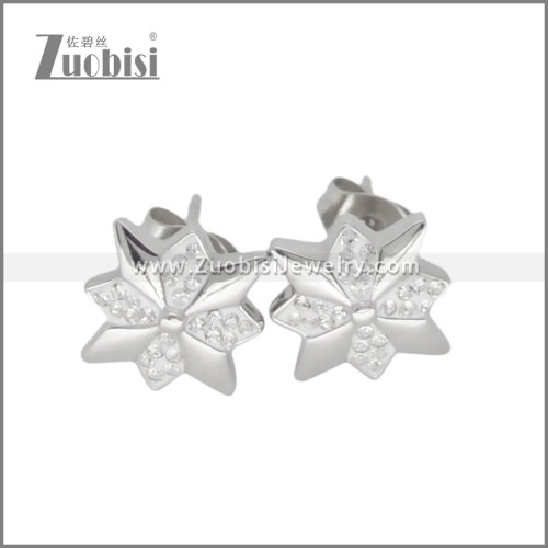 Stainless Steel Earring e002698S
