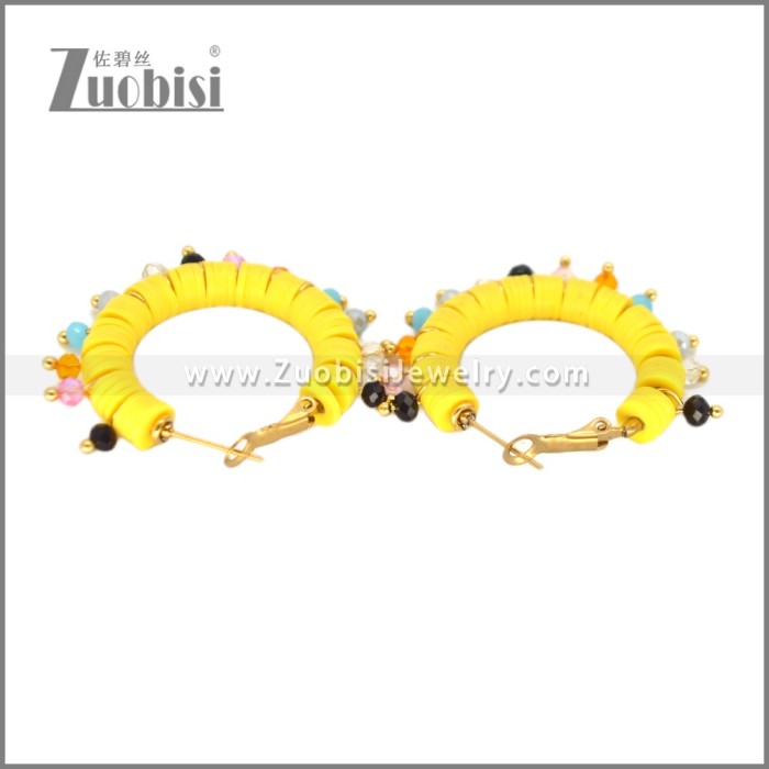 Stainless Steel Earring e002699G2